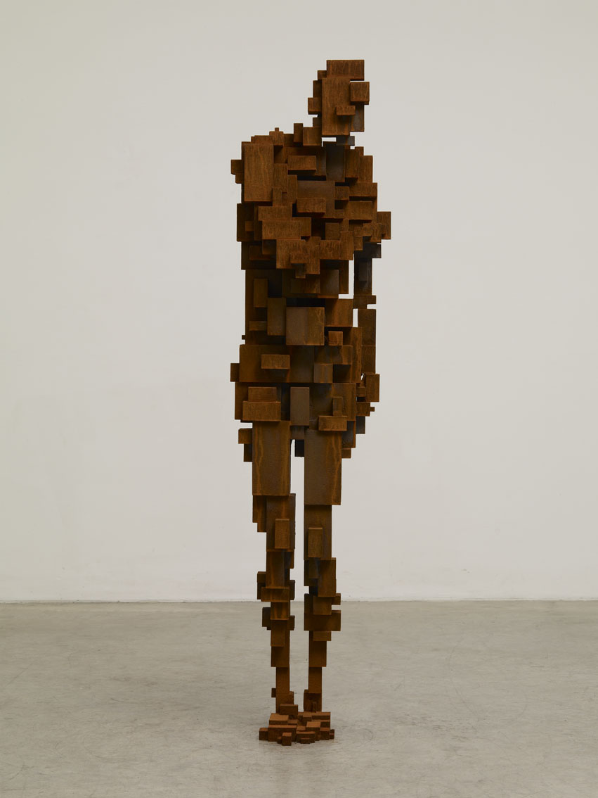 SHY V, 2008