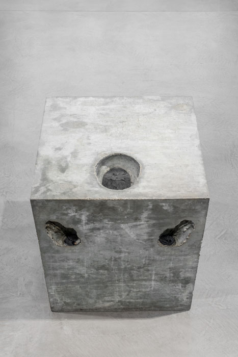 SENSE, 1991